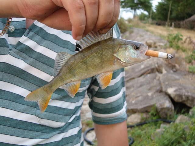 Haioase si sexi - hpim0566.jpg